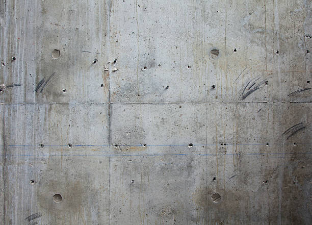 Best Concrete Flooring Contractor  in Yutan, NE